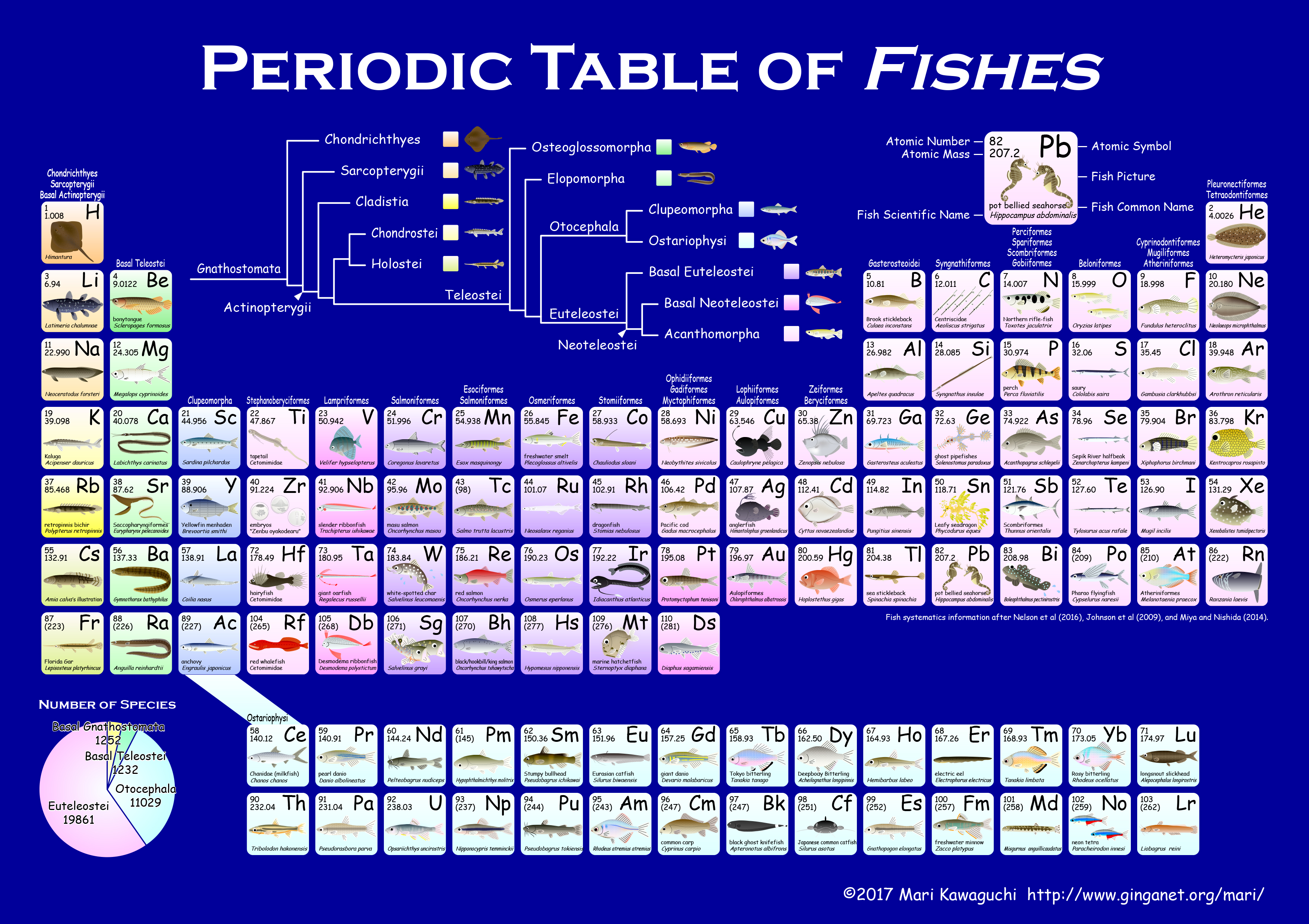 Periodic Table of Fishes